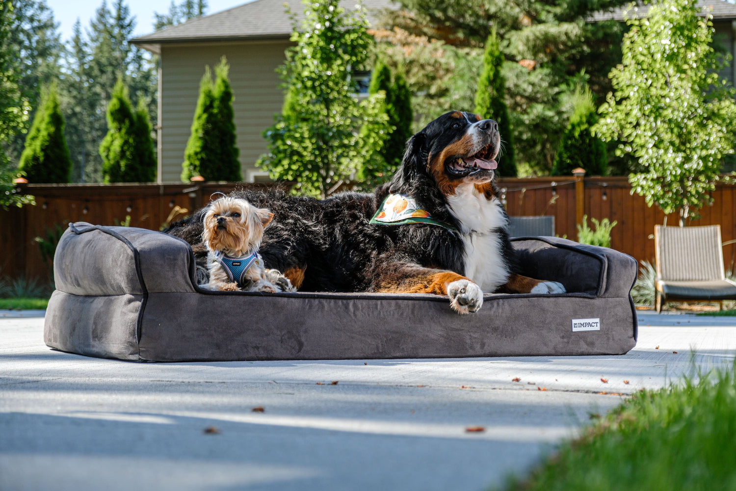 Beds & Furniture