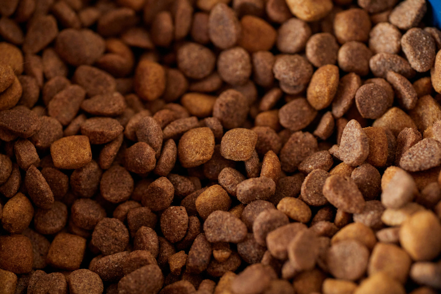 Cat Foods & Treats